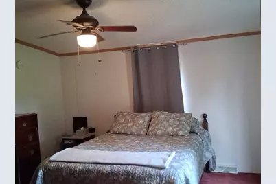 1172 N Greenville Road, Stanton, MI 48888 - Photo 21
