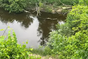 1172 N Greenville Rd, Stanton, MI 48888 - Photo 5