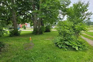 8733 S Cochran Ave, Olivet, MI 49076 - Photo 21