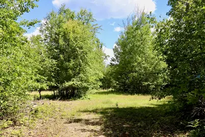 4473 Hamilton Drive, Harrison, MI 48625 - Photo 49