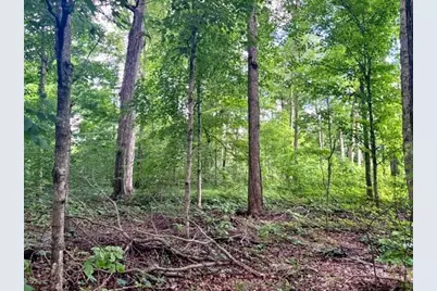 6158 Deer Run Road, Schoolcraft, MI 49087 - Photo 5