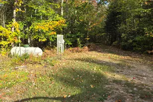 3417 M-67, Chatham, MI 49816 - Photo 7