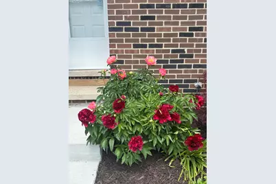 2816 Page Avenue, Ann Arbor, MI 48104 - Photo 29