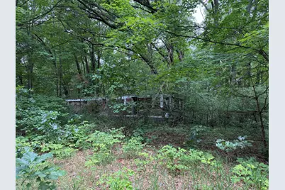 23250 W Wood Lake Road, Pierson, MI 49339 - Photo 9