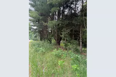 23250 W Wood Lake Road, Pierson, MI 49339 - Photo 1