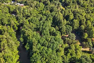 1091 N River Trail, White Cloud, MI 49349 - Photo 39
