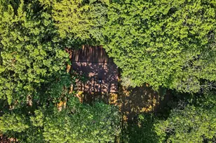 1091 N River Trail, White Cloud, MI 49349 - Photo 37