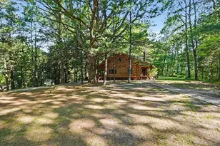 1091 N River Trail, White Cloud, MI 49349 - Photo 3