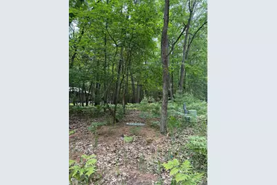 Lot 127 Wayne Road, Pentwater, MI 49449 - Photo 3
