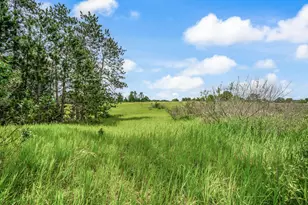 13751 Mackinaw Trail, Leroy, MI 49655 - Photo 1