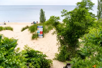 78 Van Buren Street, South Haven, MI 49090 - Photo 43