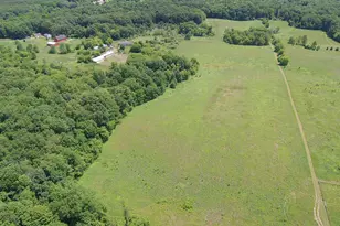 Cassidy Rd, Bellevue, MI 49021 - Photo 1