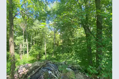 Cassidy Road, Bellevue, MI 49021 - Photo 5