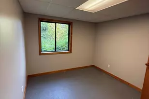 11229 W Snows Lake Rd, Greenville, MI 48838 - Photo 13