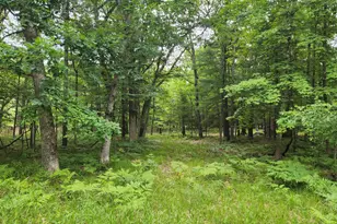Vl Rebecca Rd, Baldwin, MI 49304 - Photo 1