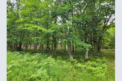 Vl Rebecca Road, Baldwin, MI 49304 - Photo 3