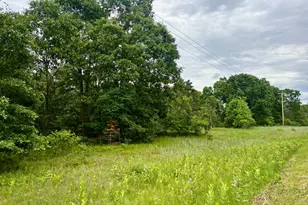 V/L Whitehall Rd, Whitehall, MI 49461 - Photo 1