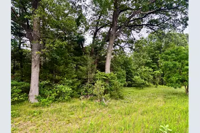 V/L Whitehall Rd, Whitehall, MI 49461 - Photo 3
