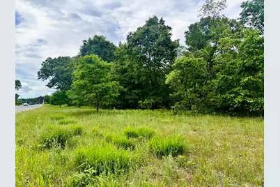 V/L Whitehall Rd, Whitehall, MI 49461 - Photo 5