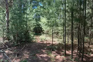 9748 N Us-31, Free Soil, MI 49411 - Photo 33