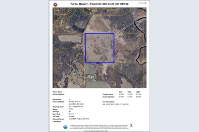 Parcel B Browns Lake Road, Jackson, MI 49203 - Photo 11