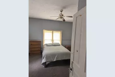 207 S Barry Street, Greenville, MI 48838 - Photo 11