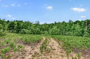 1085 S 96th Ave, Shelby, MI 49455 - Photo 7