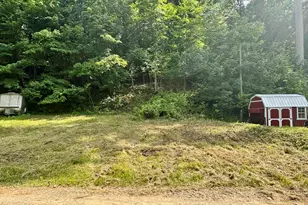 Spring St, Sturgis, MI 49091 - Photo 1