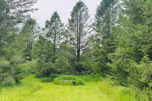 5372 Milarch Rd, Manistee, MI 49660 - Photo 5
