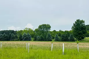 5372 Milarch Rd, Manistee, MI 49660 - Photo 35