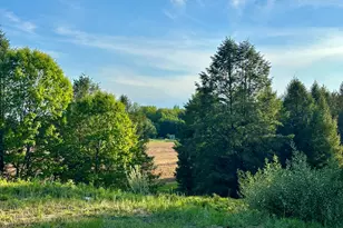 5372 Milarch Rd, Manistee, MI 49660 - Photo 15
