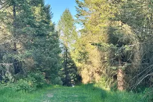 5372 Milarch Rd, Manistee, MI 49660 - Photo 23