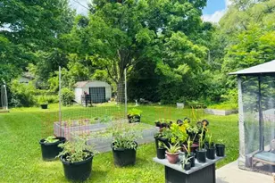 2906 Marshall St, Ann Arbor, MI 48108 - Photo 9