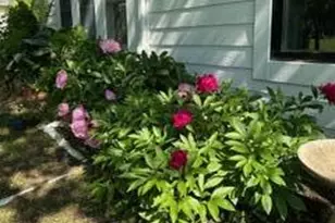 48 S Sashabaw Rd, Ortonville, MI 48462 - Photo 25
