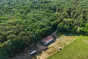384 E Wilke Rd, Rothbury, MI 49452 - Photo 35