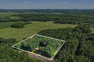 384 E Wilke Rd, Rothbury, MI 49452 - Photo 3