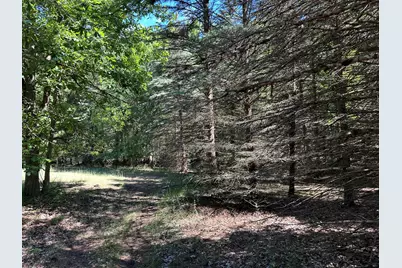 4485 S Miles Road, Sheridan, MI 48884 - Photo 59