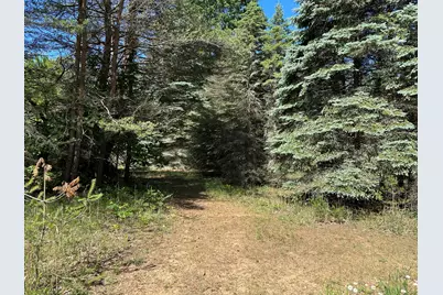 4485 S Miles Road, Sheridan, MI 48884 - Photo 57