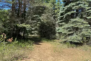 4485 S Miles Rd, Sheridan, MI 48884 - Photo 57