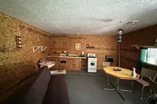 4485 S Miles Rd, Sheridan, MI 48884 - Photo 41
