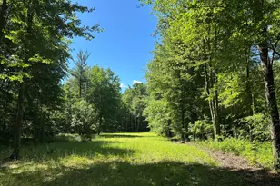 4485 S Miles Rd, Sheridan, MI 48884 - Photo 71