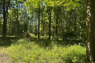 4485 S Miles Rd, Sheridan, MI 48884 - Photo 67