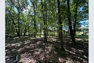 4485 S Miles Road, Sheridan, MI 48884 - Photo 77