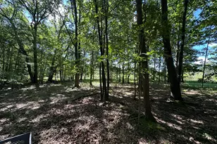4485 S Miles Rd, Sheridan, MI 48884 - Photo 77