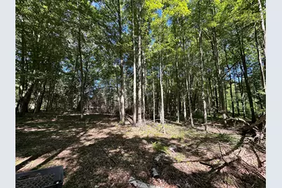4485 S Miles Road, Sheridan, MI 48884 - Photo 75