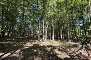 4485 S Miles Rd, Sheridan, MI 48884 - Photo 75