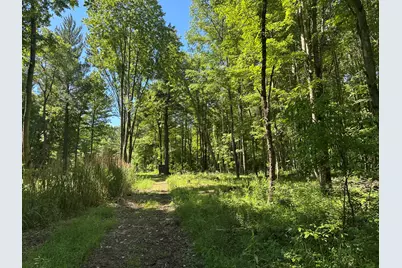 4485 S Miles Road, Sheridan, MI 48884 - Photo 69