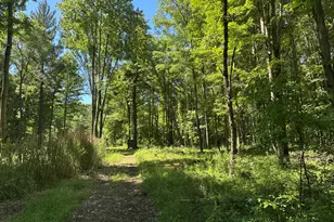 4485 S Miles Rd, Sheridan, MI 48884 - Photo 69