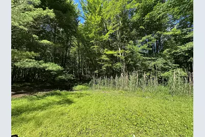 4485 S Miles Road, Sheridan, MI 48884 - Photo 73