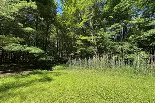 4485 S Miles Rd, Sheridan, MI 48884 - Photo 73
